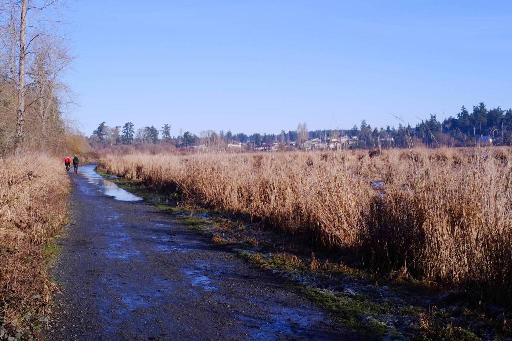 LETTER: Making Saanich’s Panama Flats leash-only is not an attack on dogs