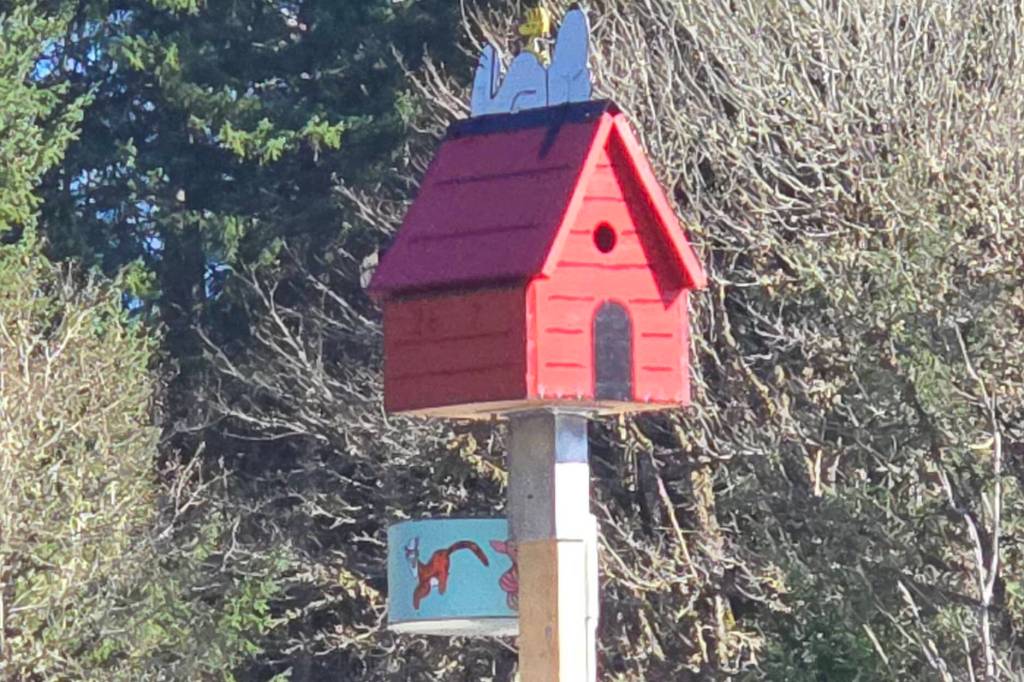 Snoopy&rsquo;s back! Purple martin boxes, both standard and more creative, make a return to Tod Inlet just in time for nesting season. (John Creviston/Facebook)
